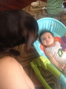 İlk tanışmalardan...