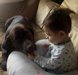 Duman & Madi