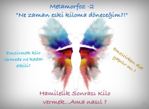 metamorfozkilo